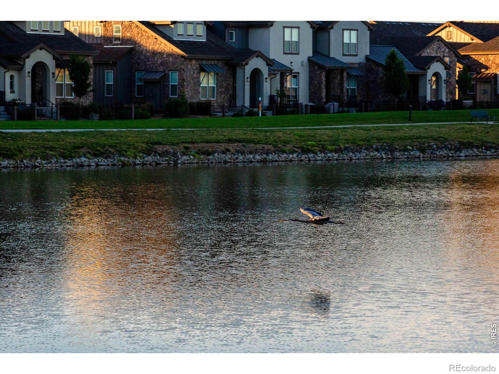MLS Image #32 for 6226  vernazza way,windsor, Colorado