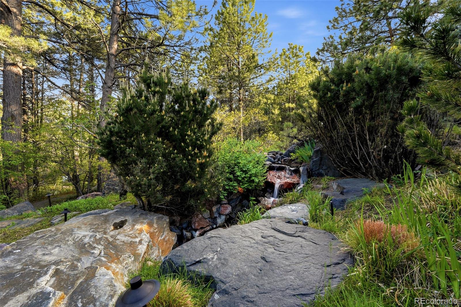 MLS Image #22 for 31  albion place,castle rock, Colorado