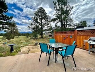 MLS Image #29 for 592  badger trail,ridgway, Colorado