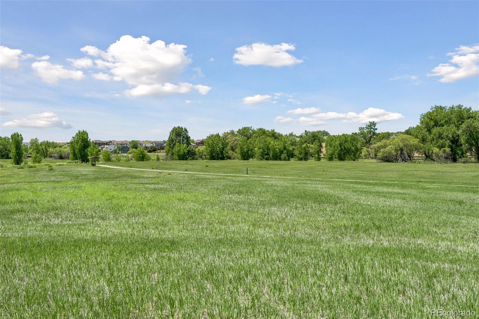 MLS Image #49 for 19454 e clear creek trail,parker, Colorado