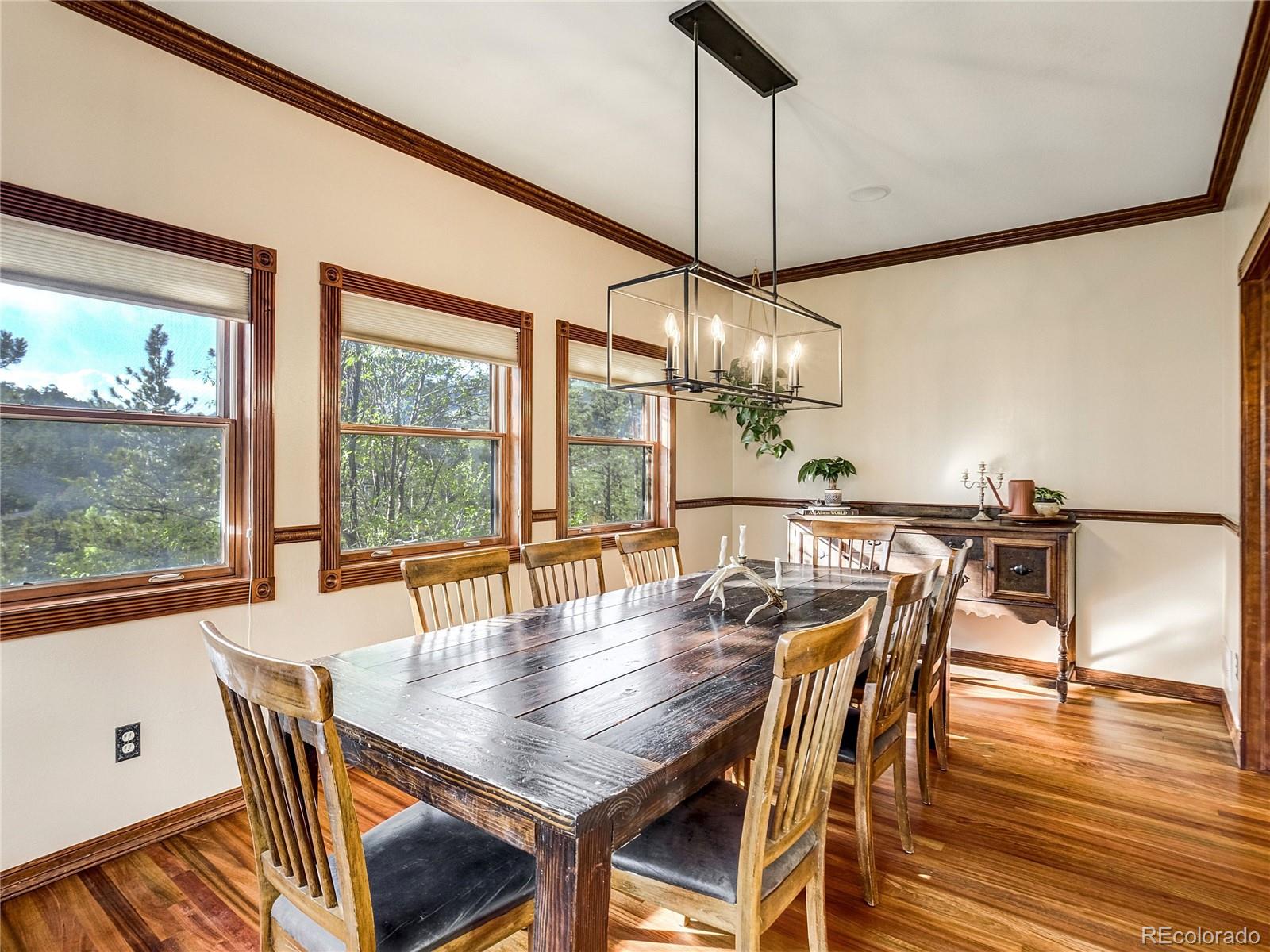 MLS Image #19 for 4660  hagerman avenue,cascade, Colorado