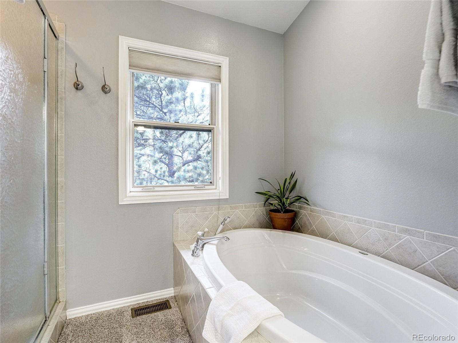 MLS Image #27 for 4660  hagerman avenue,cascade, Colorado