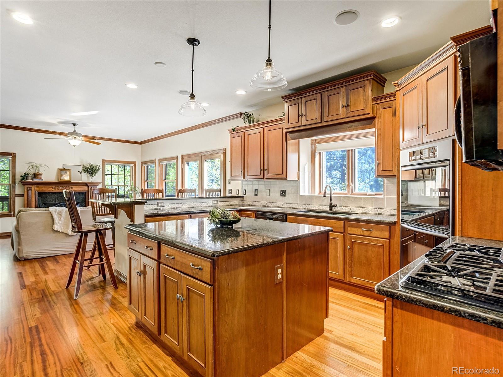 MLS Image #4 for 4660  hagerman avenue,cascade, Colorado