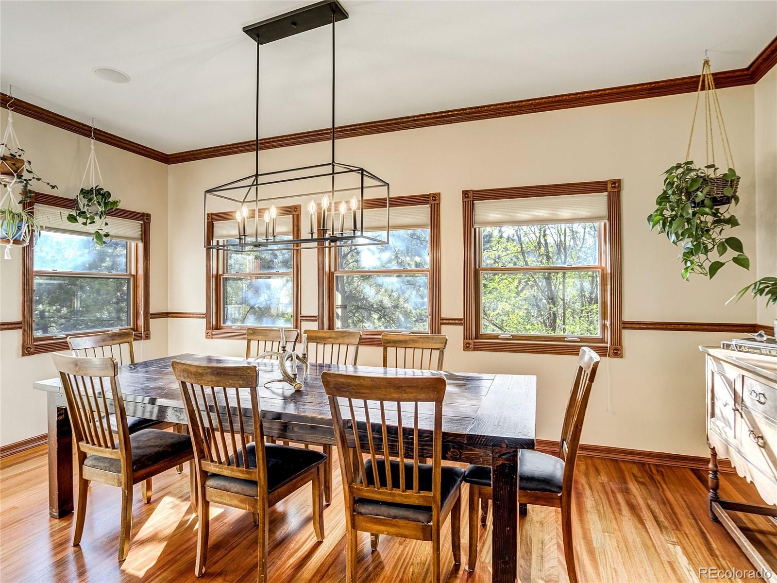 MLS Image #5 for 4660  hagerman avenue,cascade, Colorado