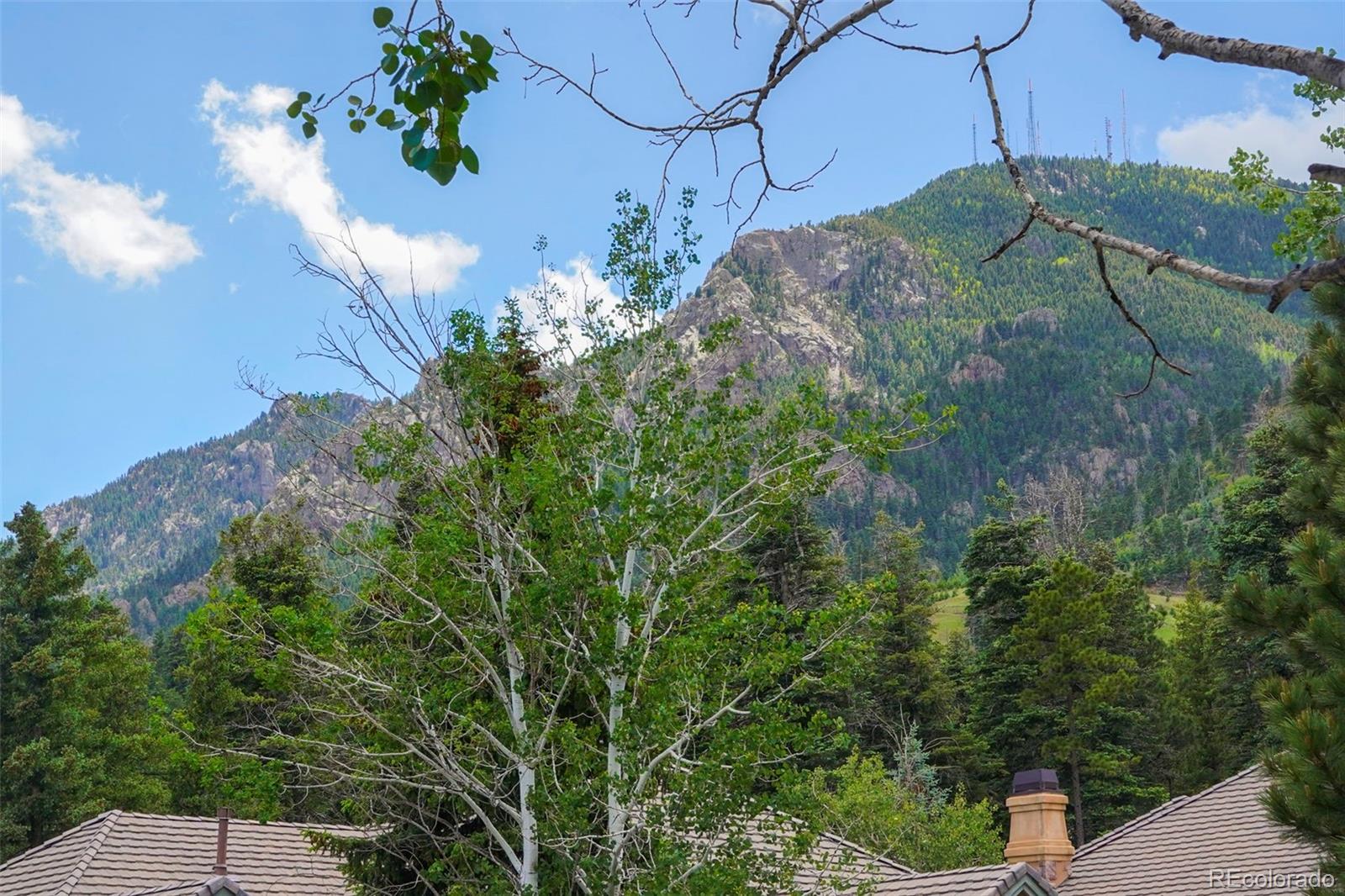 MLS Image #16 for 4485  carriage house view,colorado springs, Colorado