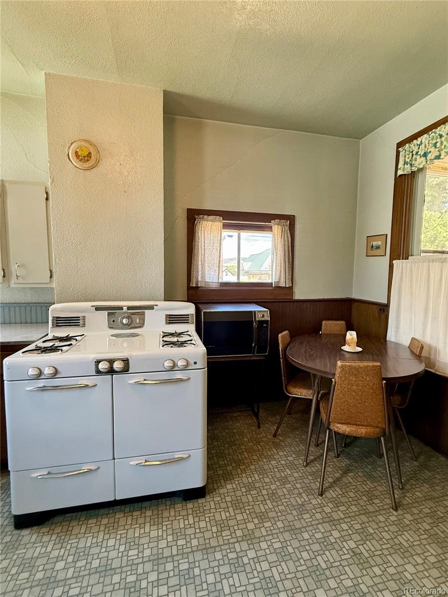 MLS Image #11 for 422 w 7th street,leadville, Colorado