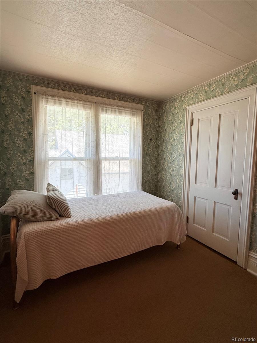 MLS Image #16 for 422 w 7th street,leadville, Colorado