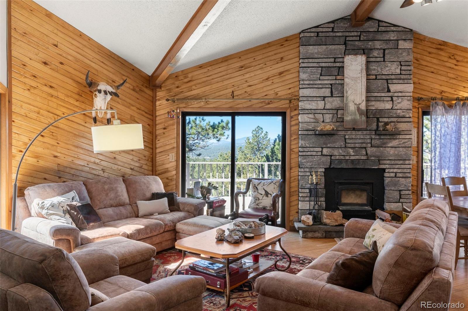 MLS Image #10 for 247  pinewood road,florissant, Colorado