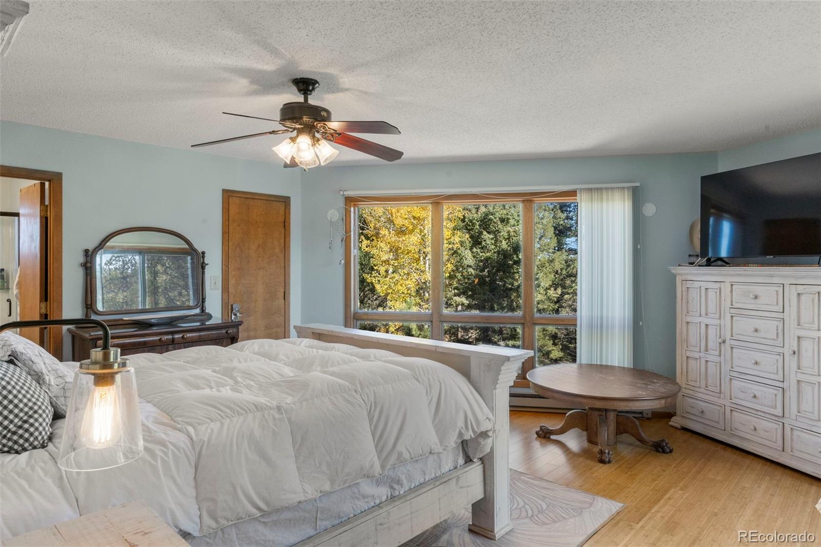 MLS Image #12 for 247  pinewood road,florissant, Colorado