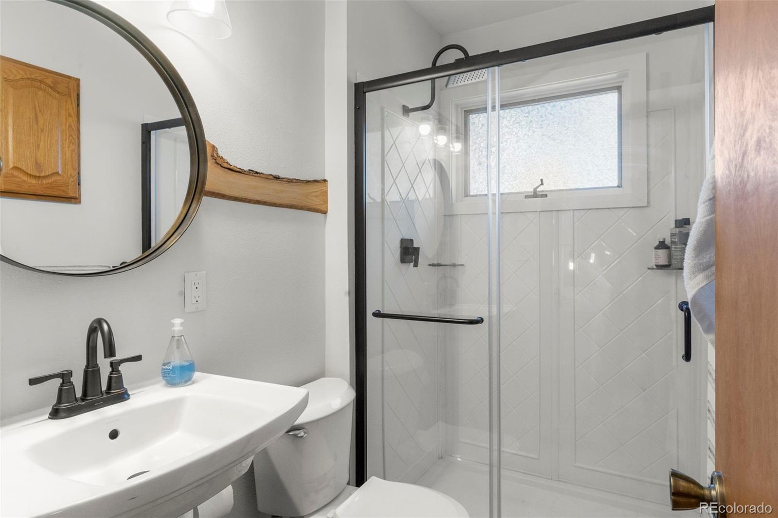 MLS Image #13 for 247  pinewood road,florissant, Colorado