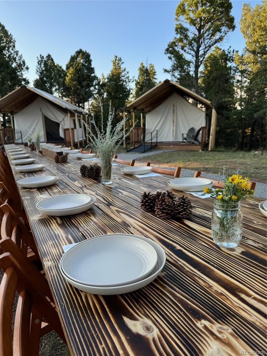 MLS Image #21 for 247  pinewood road,florissant, Colorado