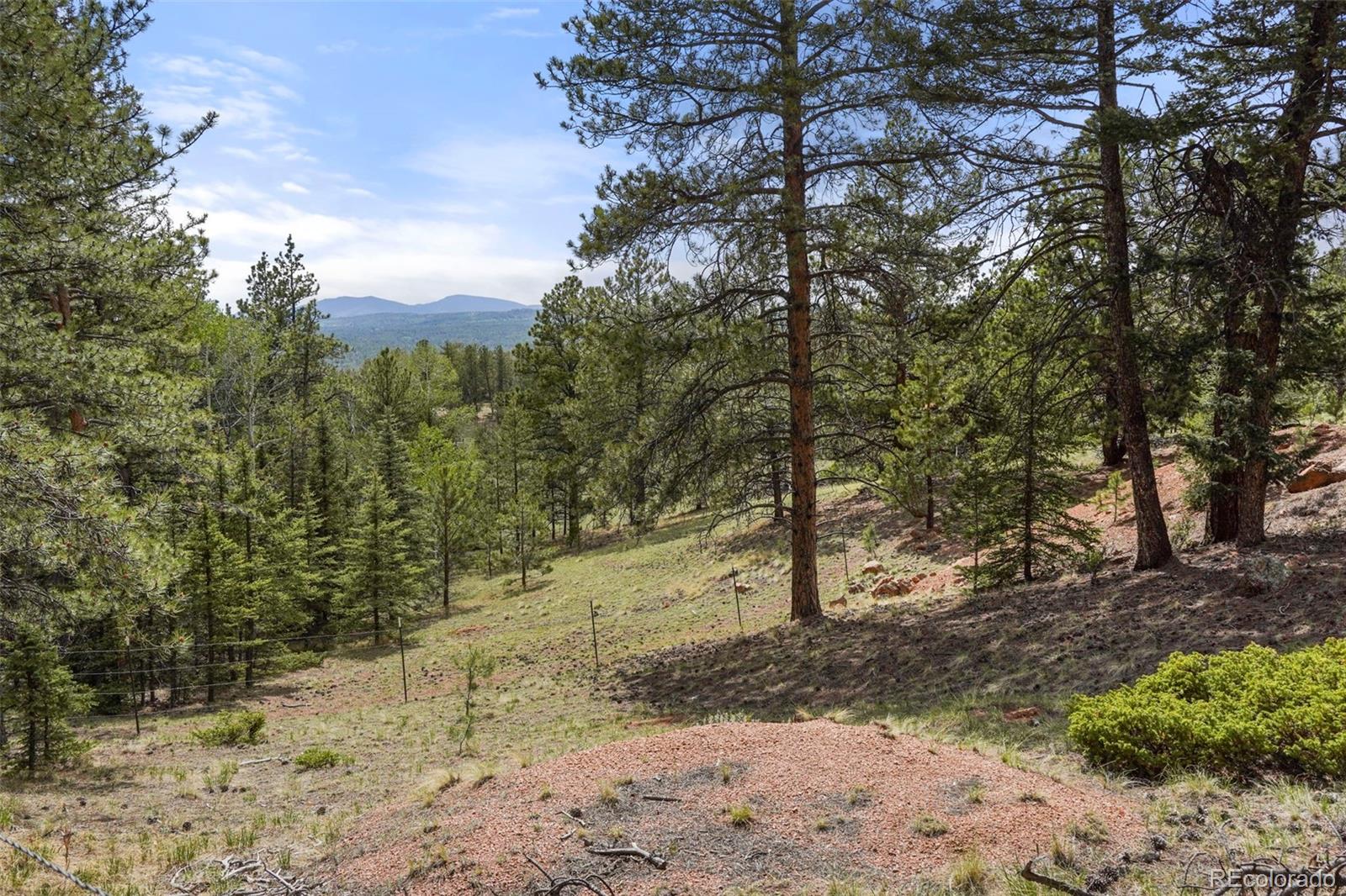 MLS Image #25 for 247  pinewood road,florissant, Colorado