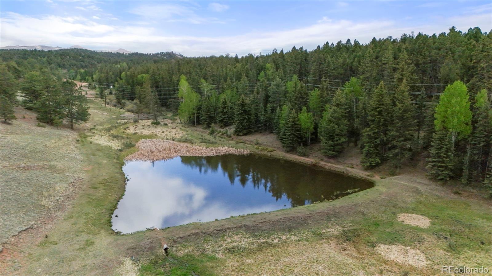 MLS Image #5 for 247  pinewood road,florissant, Colorado