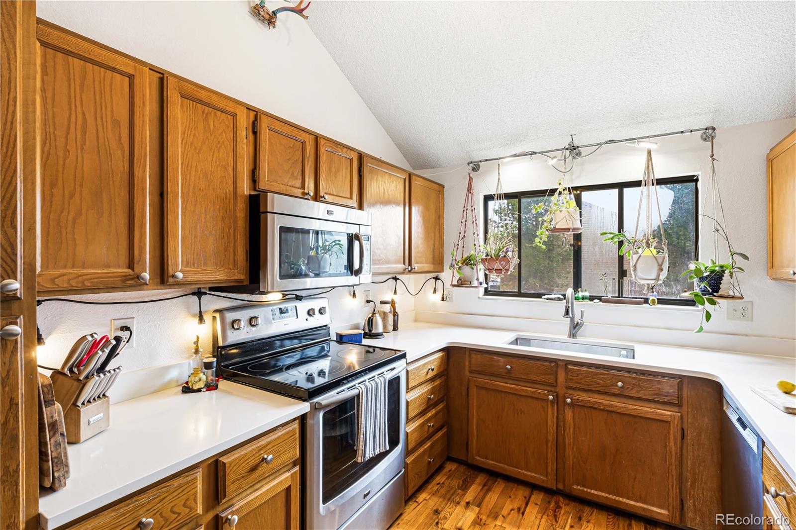 MLS Image #6 for 318  wright street,lakewood, Colorado