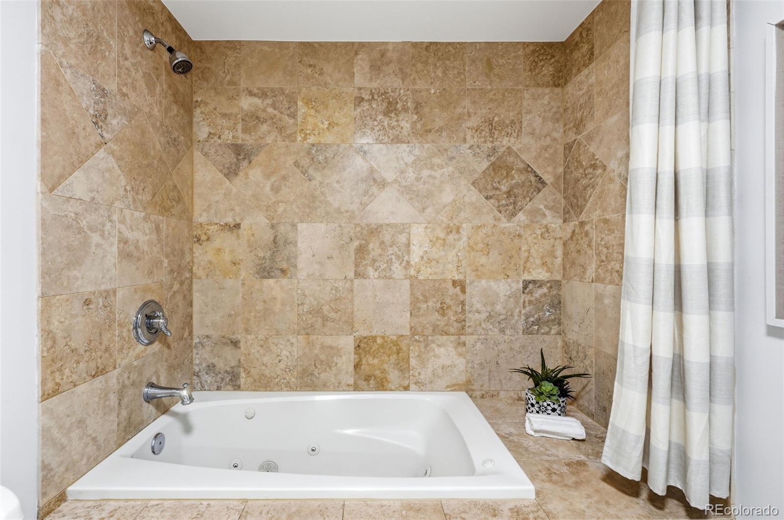 MLS Image #34 for 925 n lincoln street,denver, Colorado