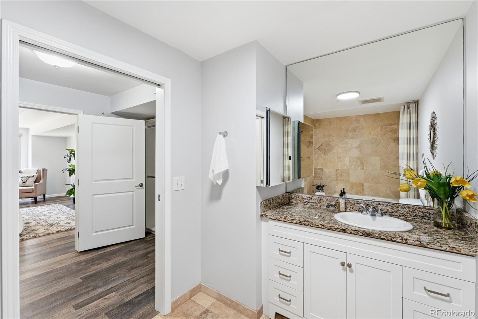 MLS Image #35 for 925 n lincoln street,denver, Colorado