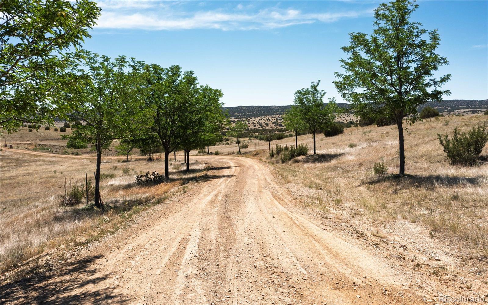 MLS Image #39 for 6650  zercher road,beulah, Colorado