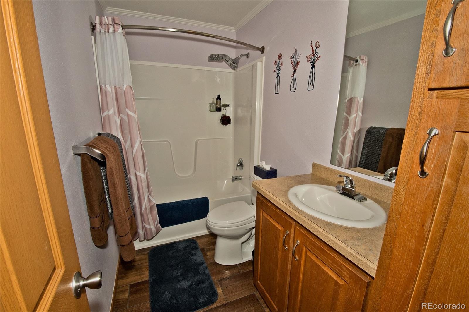 MLS Image #20 for 705  san juan avenue,saguache, Colorado