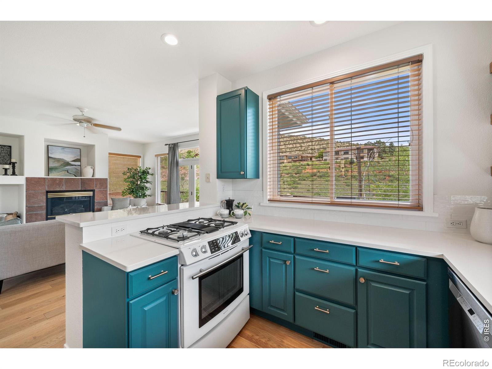 MLS Image #10 for 1012  steamboat valley road,lyons, Colorado
