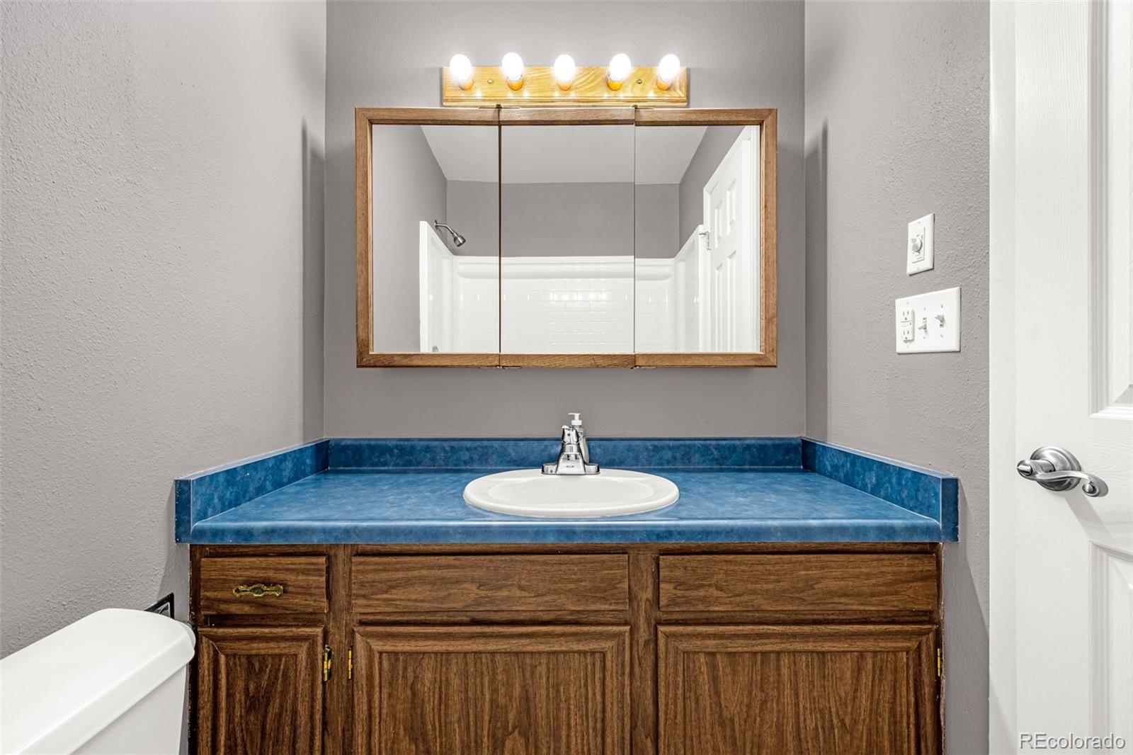 MLS Image #19 for 1264  cree drive,colorado springs, Colorado
