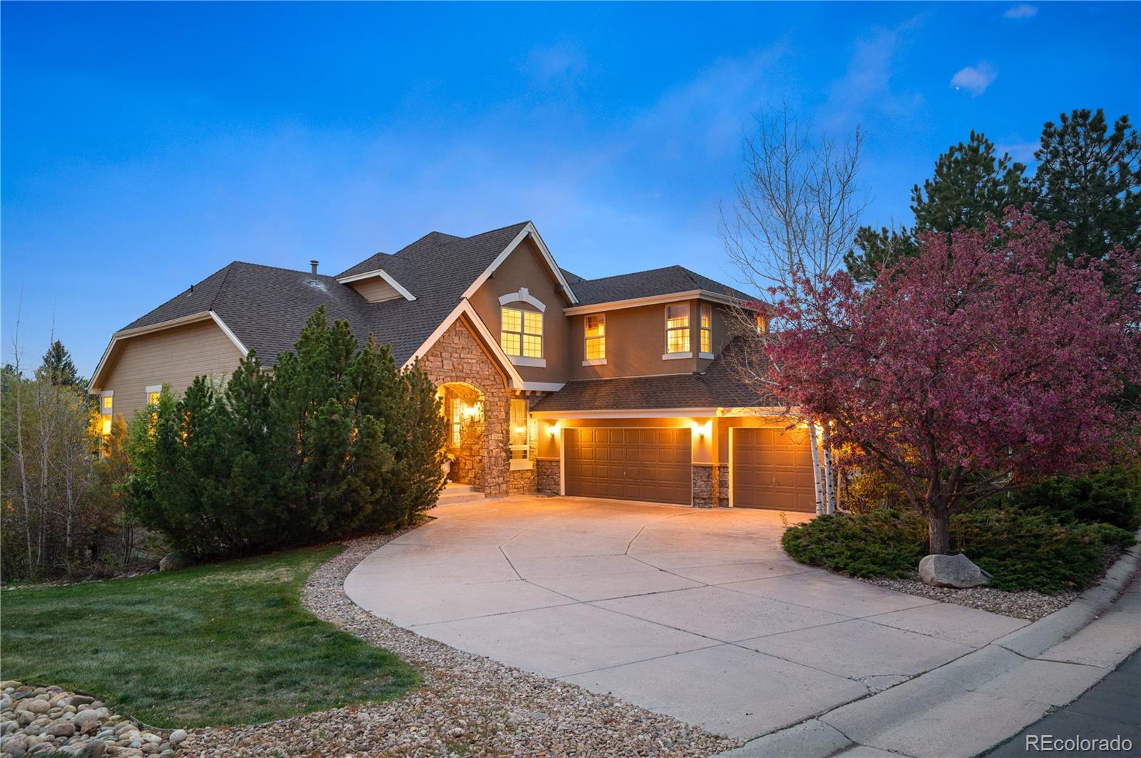 MLS Image #2 for 7284  timbercrest lane,castle rock, Colorado