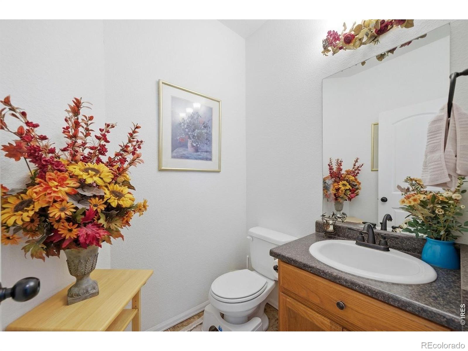 MLS Image #14 for 7506  back stretch drive,wellington, Colorado