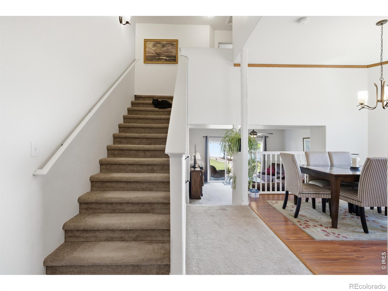 MLS Image #16 for 7506  back stretch drive,wellington, Colorado