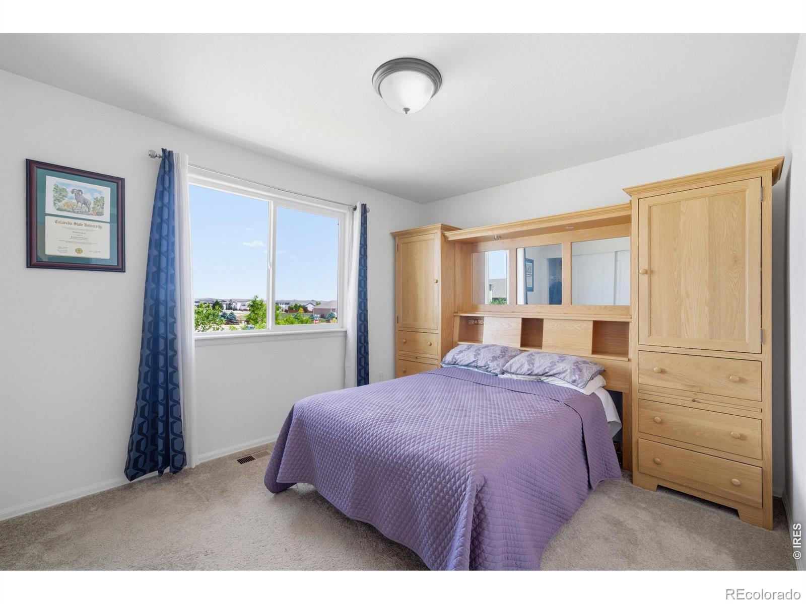 MLS Image #23 for 7506  back stretch drive,wellington, Colorado
