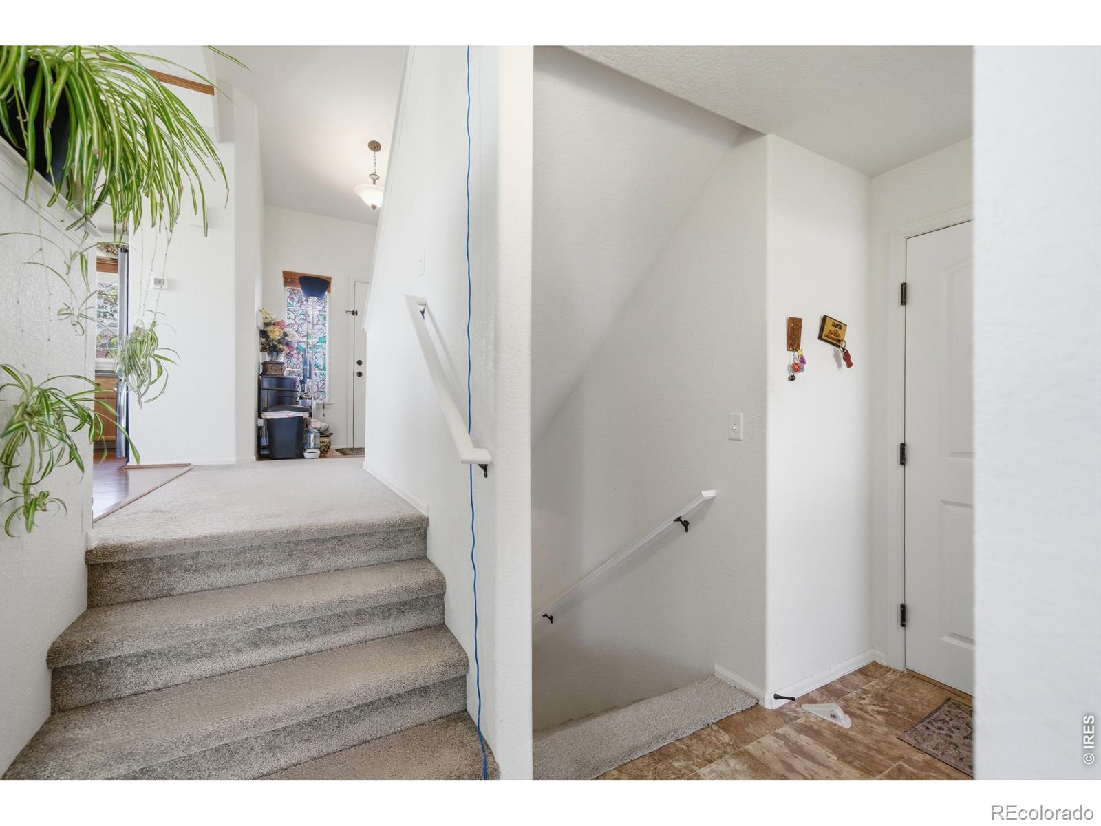 MLS Image #24 for 7506  back stretch drive,wellington, Colorado