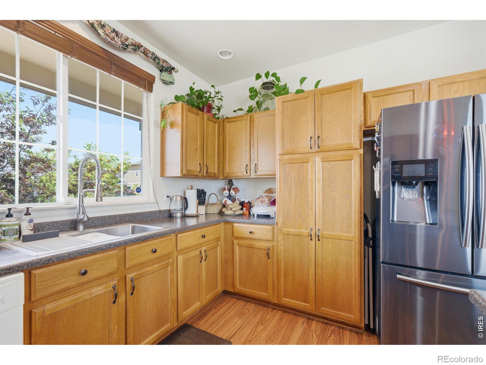 MLS Image #4 for 7506  back stretch drive,wellington, Colorado