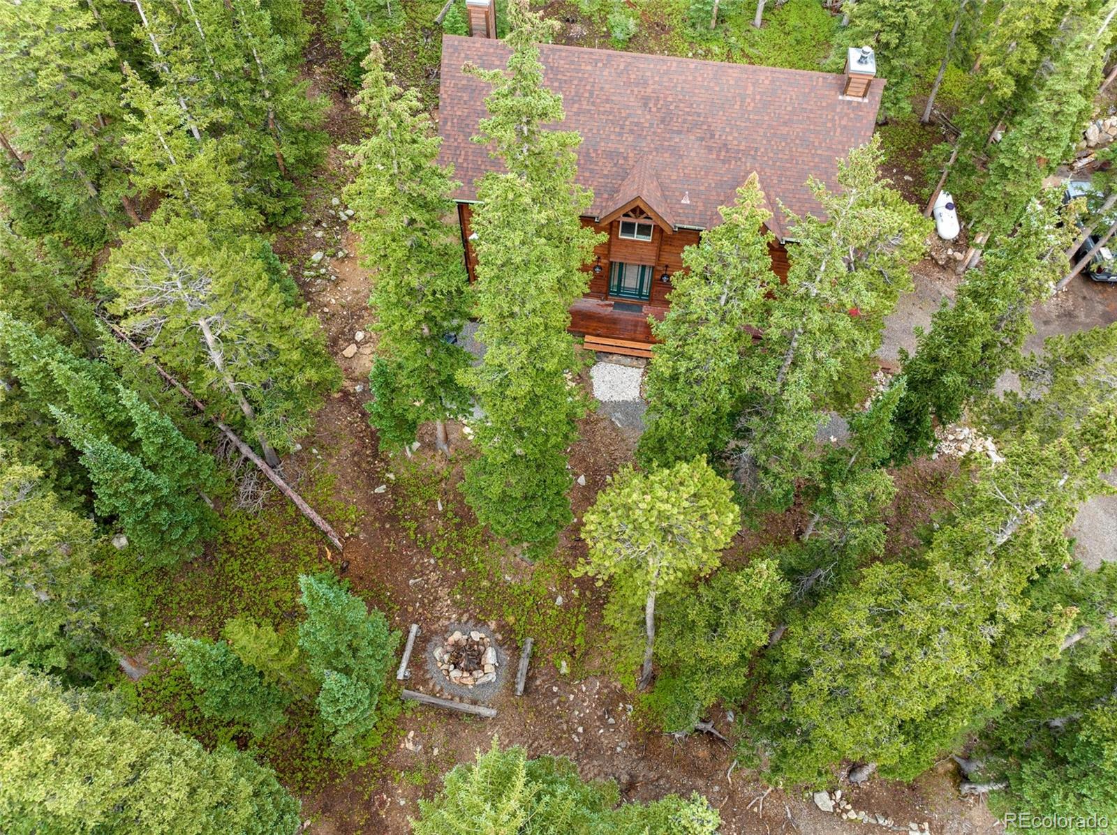 MLS Image #1 for 592  brook drive,idaho springs, Colorado