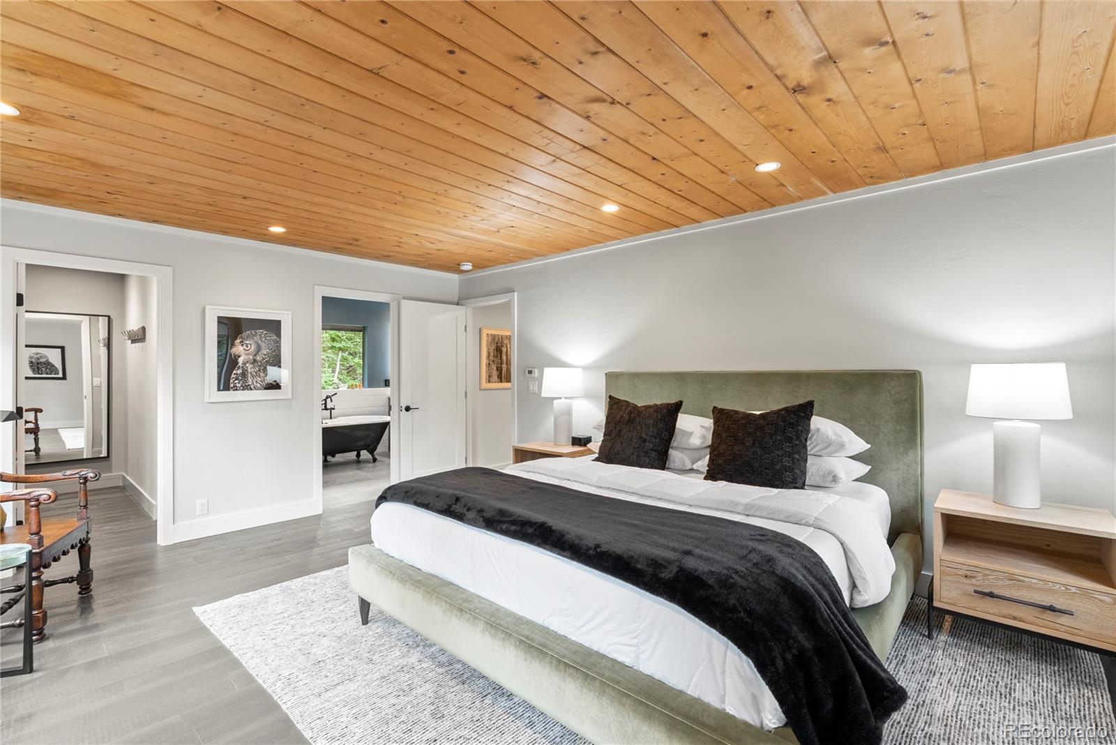 MLS Image #13 for 592  brook drive,idaho springs, Colorado