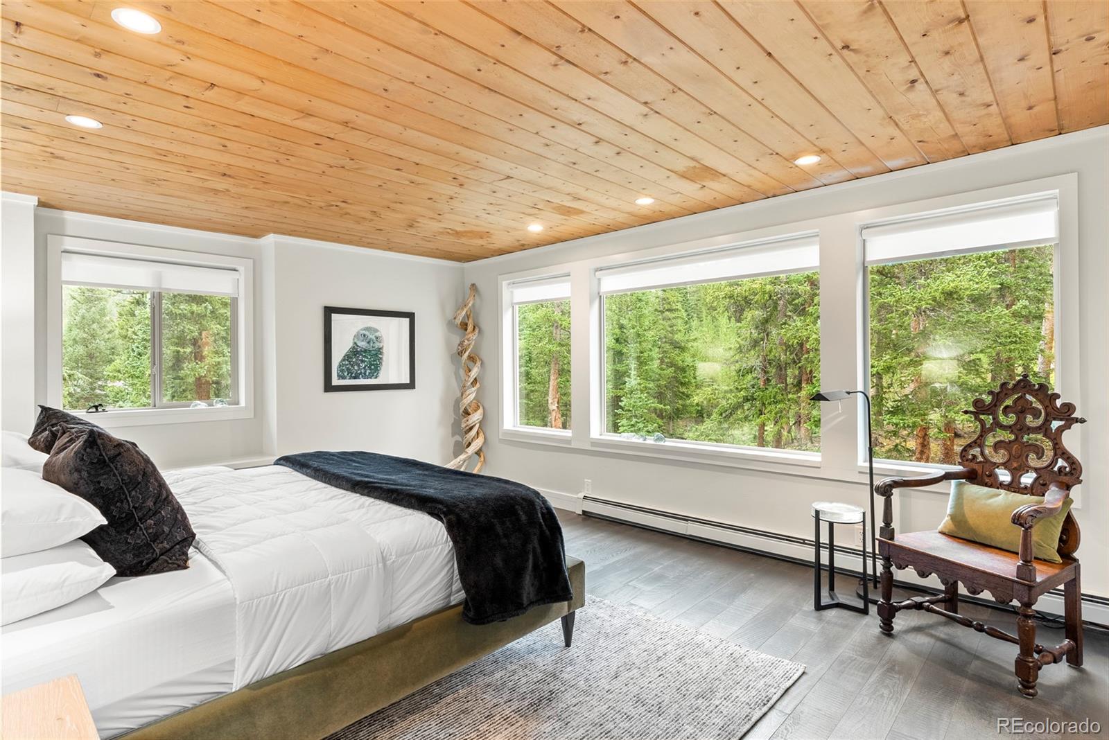 MLS Image #14 for 592  brook drive,idaho springs, Colorado
