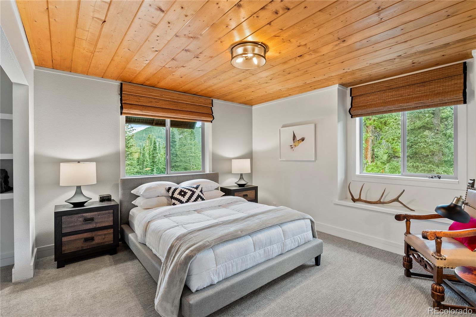 MLS Image #17 for 592  brook drive,idaho springs, Colorado