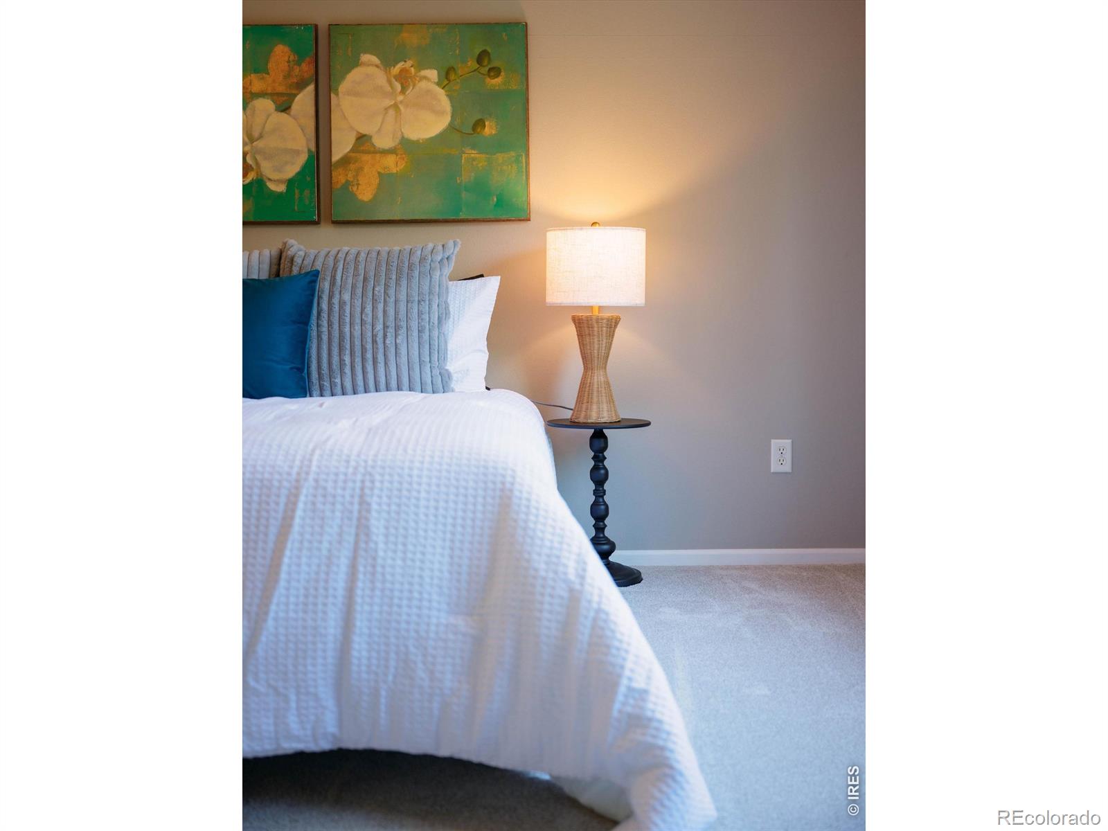 MLS Image #20 for 6814  montserrat drive,fort collins, Colorado