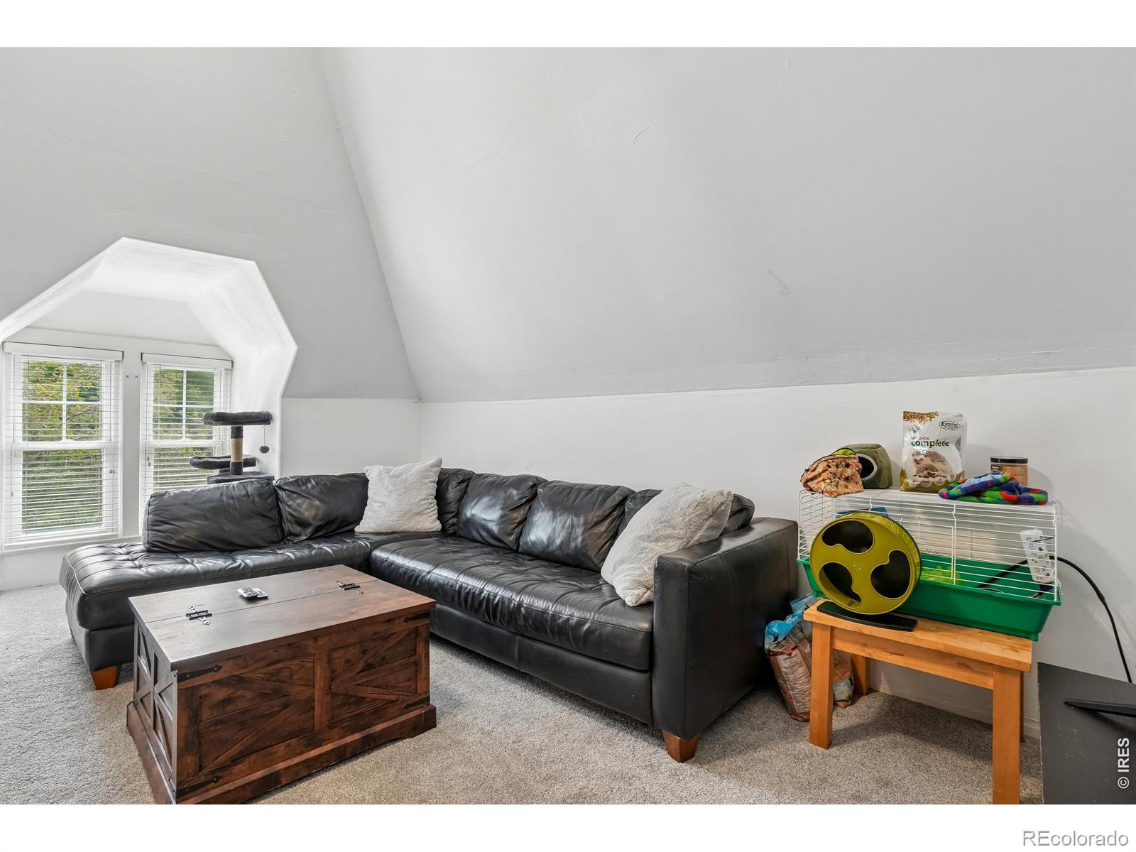MLS Image #23 for 837 n jefferson avenue,loveland, Colorado