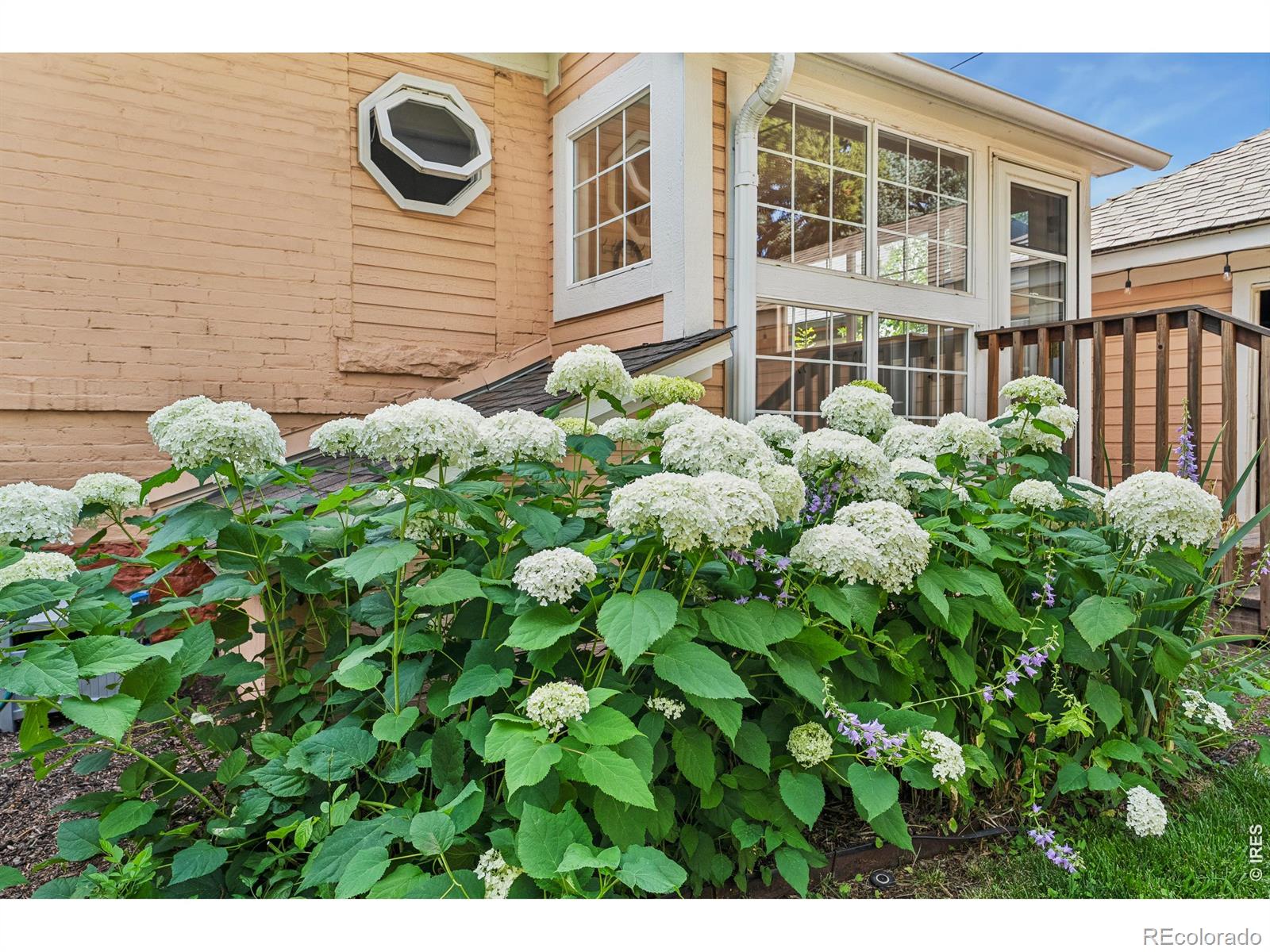 MLS Image #43 for 837 n jefferson avenue,loveland, Colorado