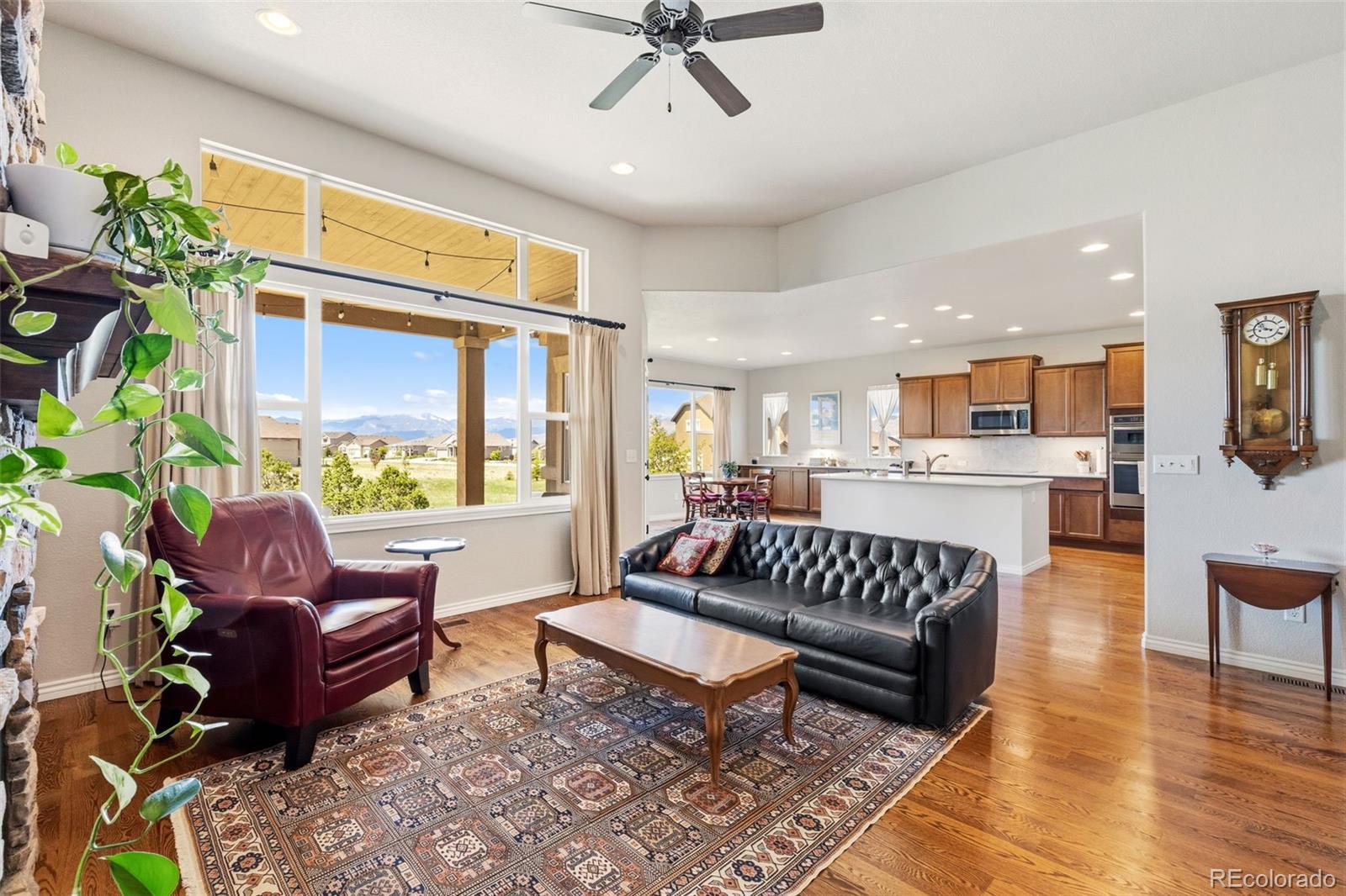 MLS Image #4 for 3729  floating cloud court,colorado springs, Colorado