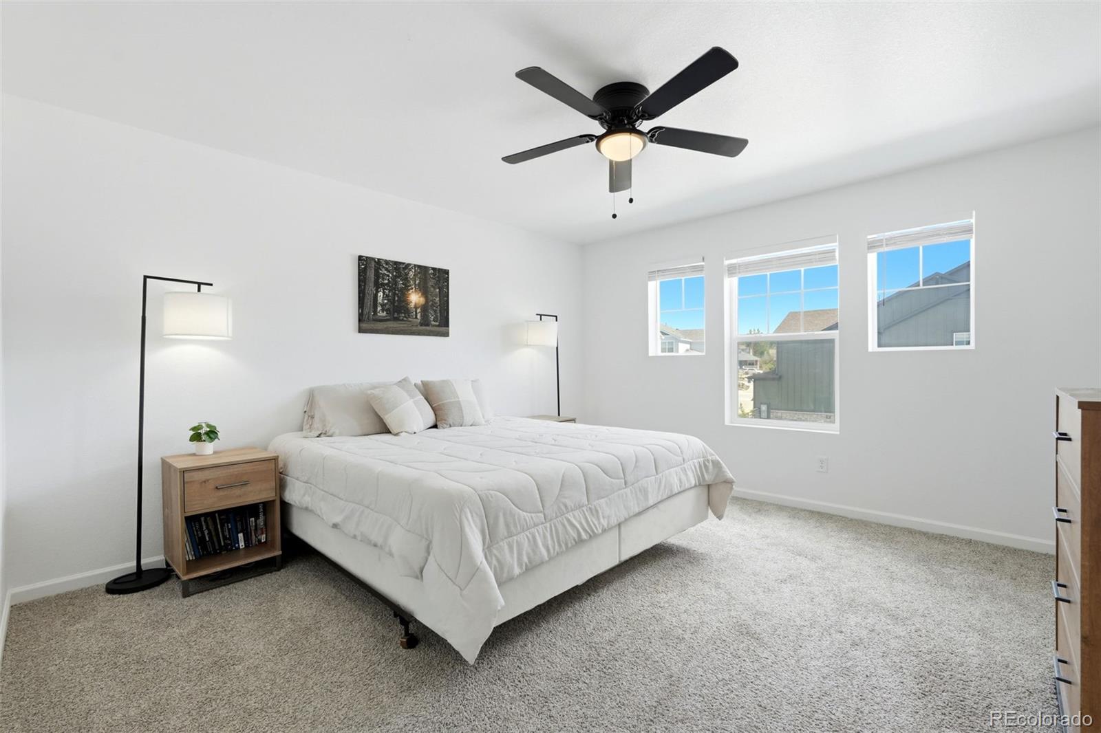 MLS Image #15 for 9915  matchless street,littleton, Colorado