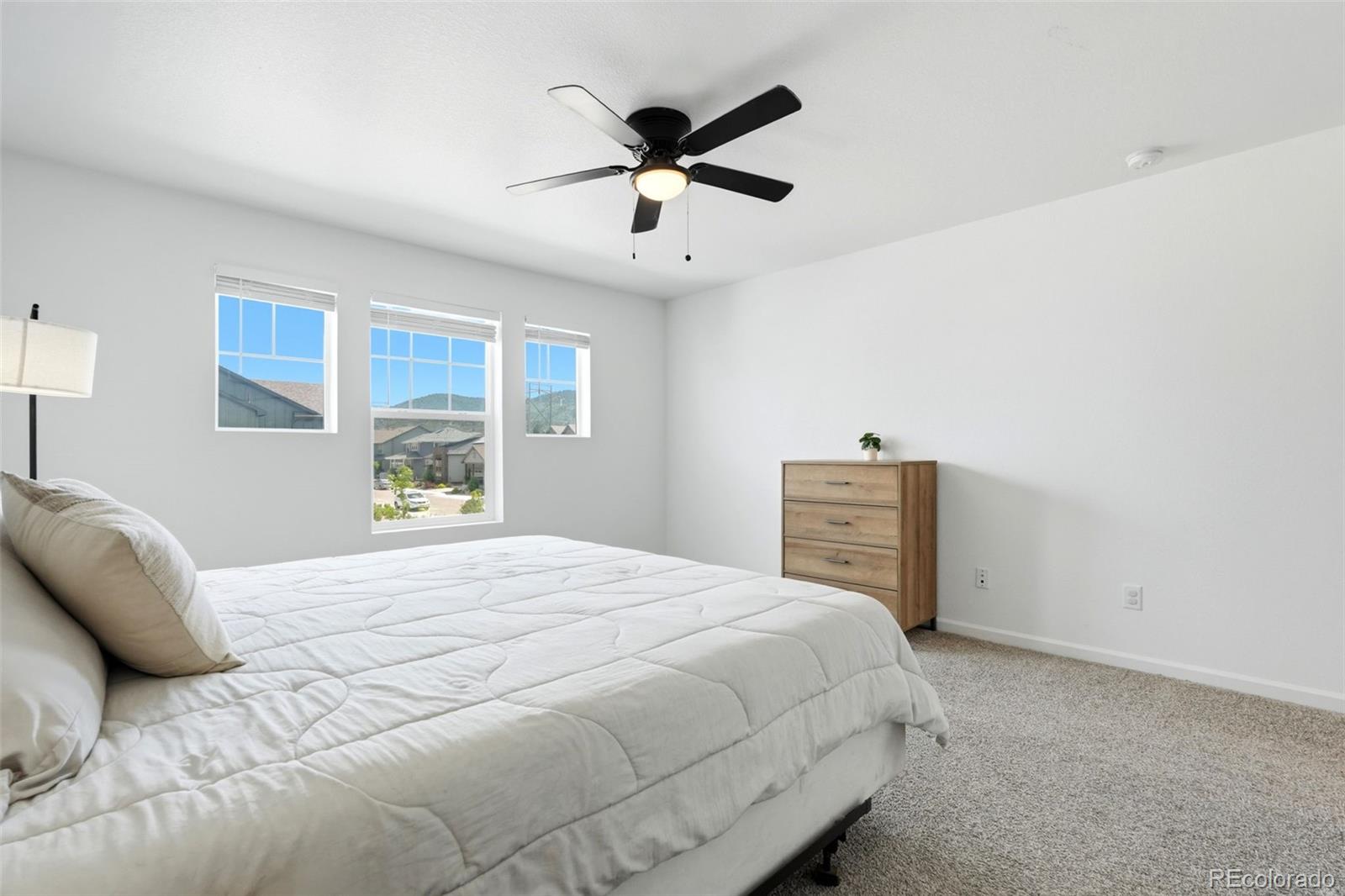 MLS Image #17 for 9915  matchless street,littleton, Colorado