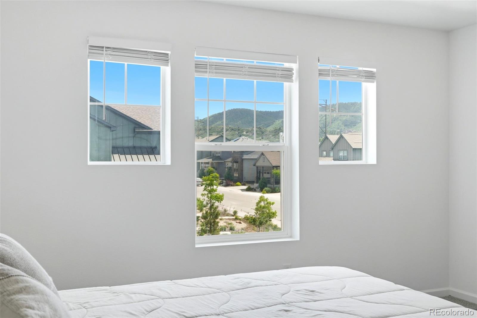 MLS Image #18 for 9915  matchless street,littleton, Colorado