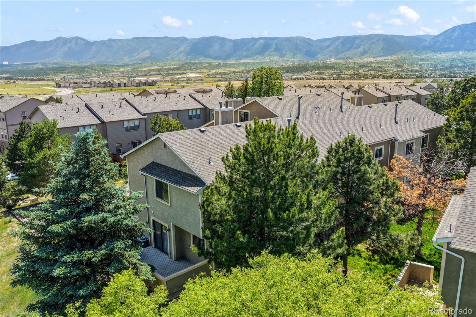 MLS Image #42 for 1010  magic lamp way,monument, Colorado
