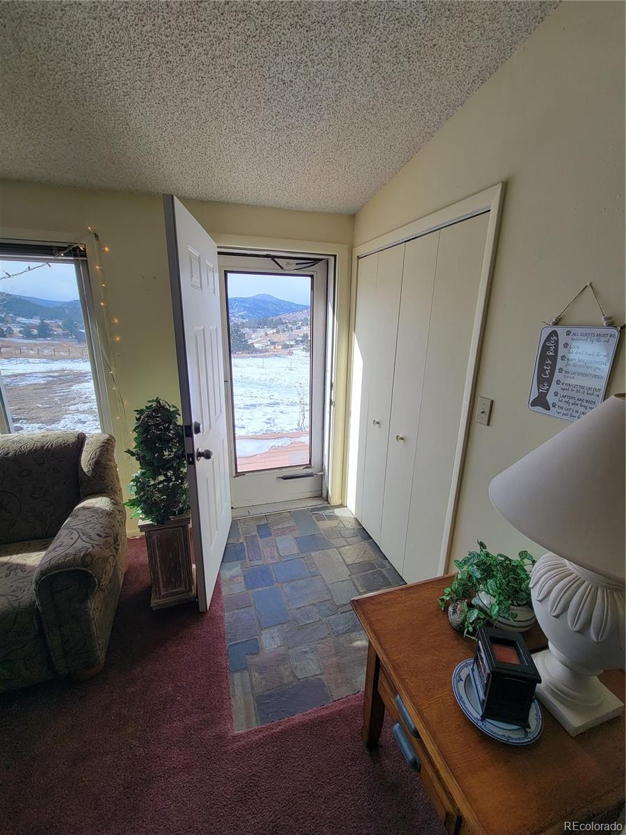 MLS Image #27 for 759  palisade mountain drive,drake, Colorado