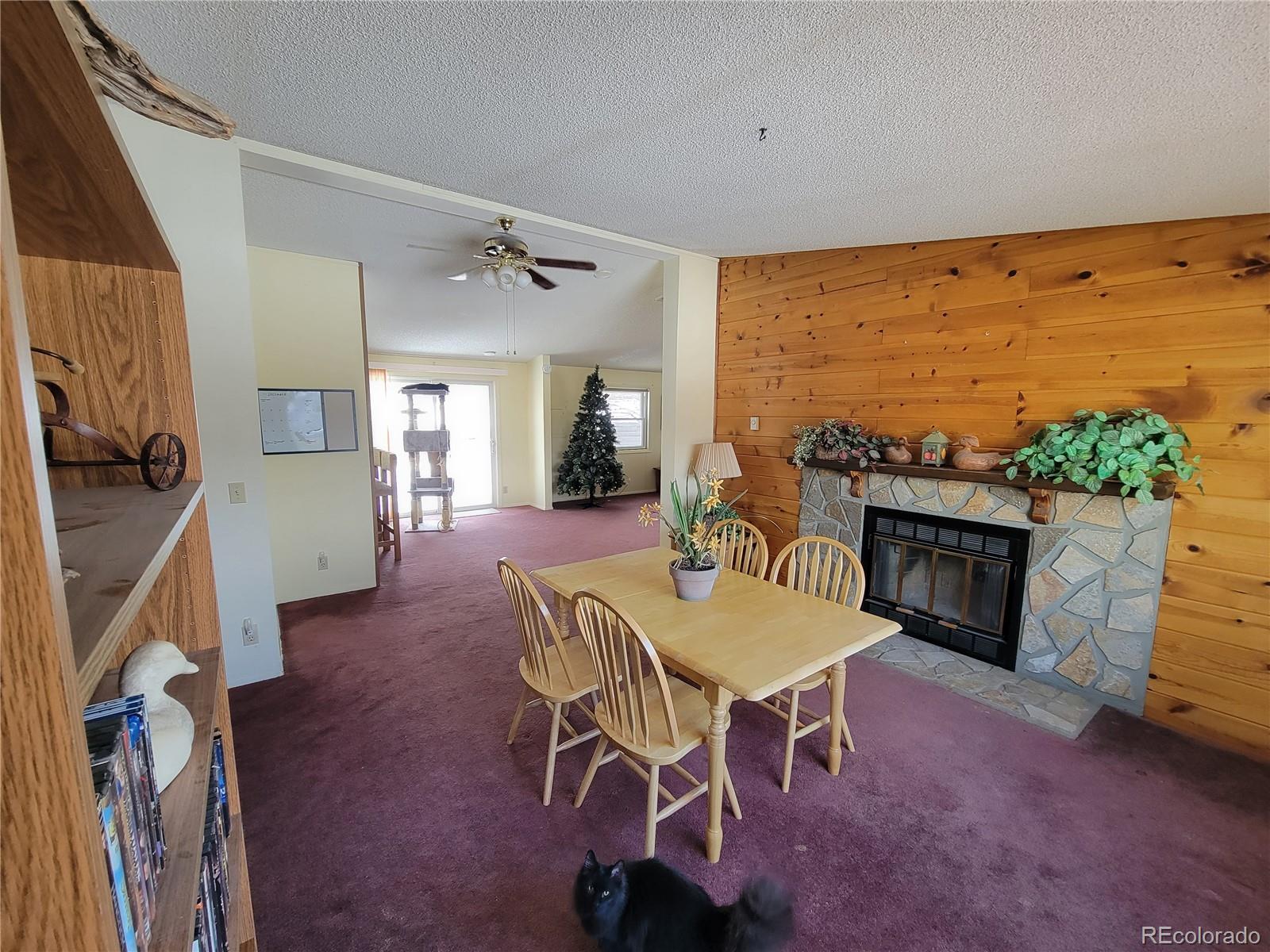 MLS Image #28 for 759  palisade mountain drive,drake, Colorado