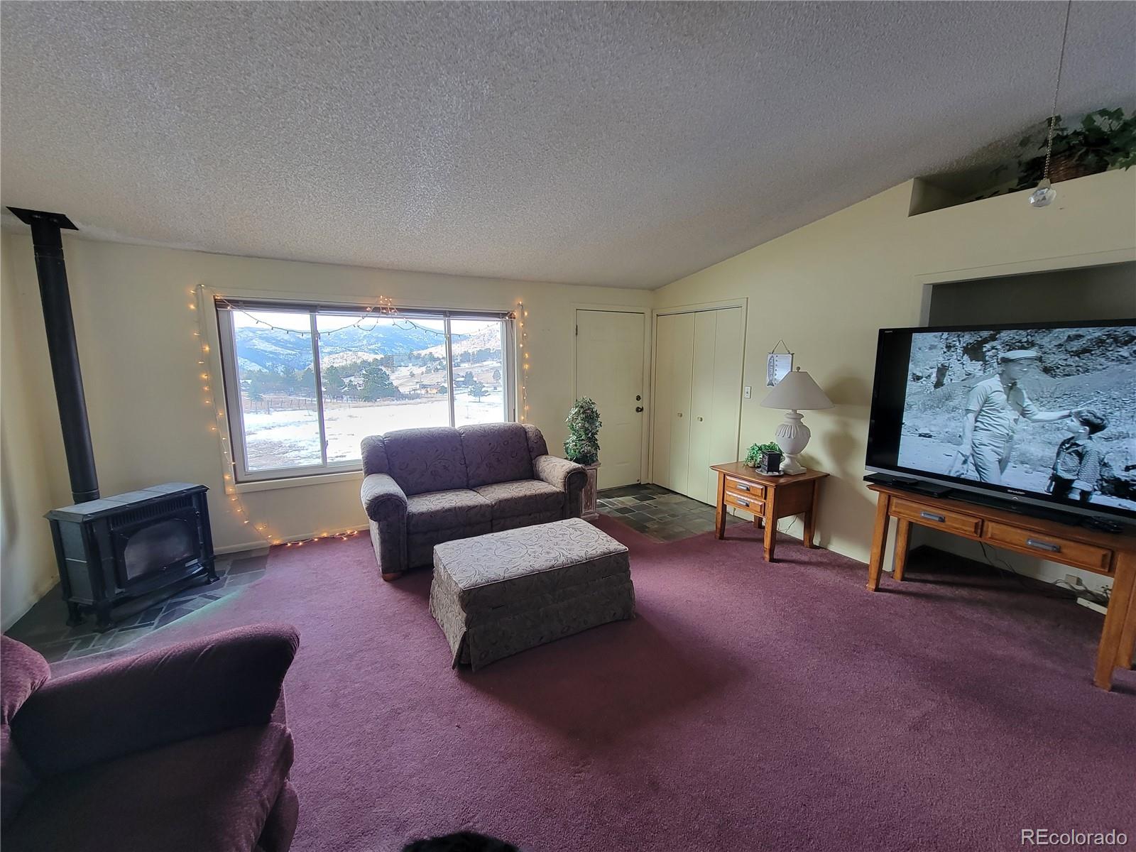 MLS Image #46 for 759  palisade mountain drive,drake, Colorado
