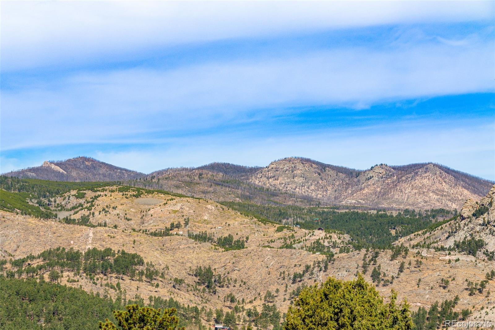 MLS Image #8 for 759  palisade mountain drive,drake, Colorado