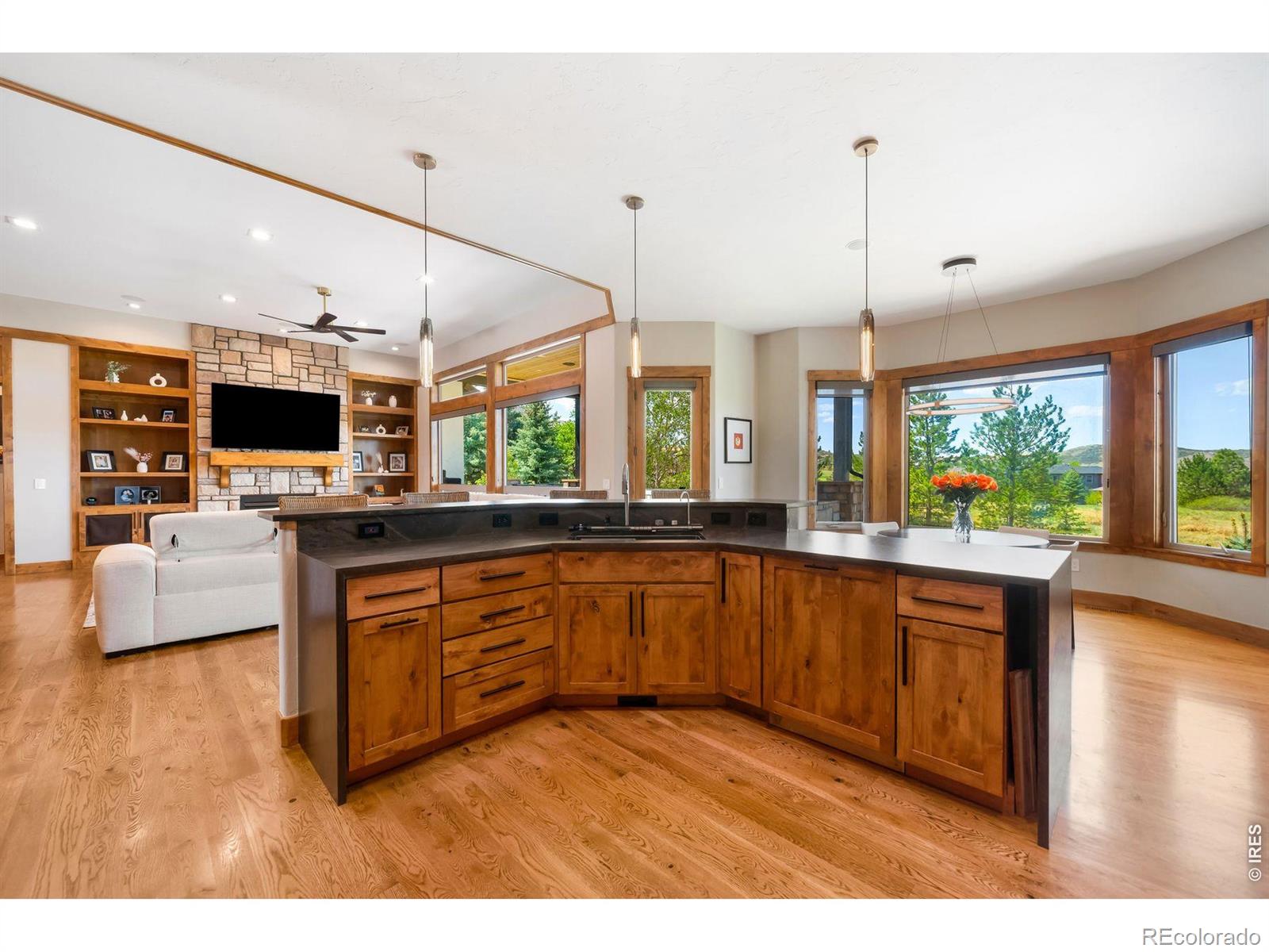 MLS Image #14 for 5415  moonlight way,parker, Colorado