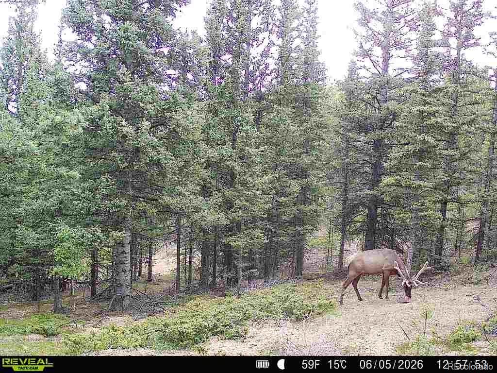 MLS Image #1 for 6601  heckman road,san luis, Colorado
