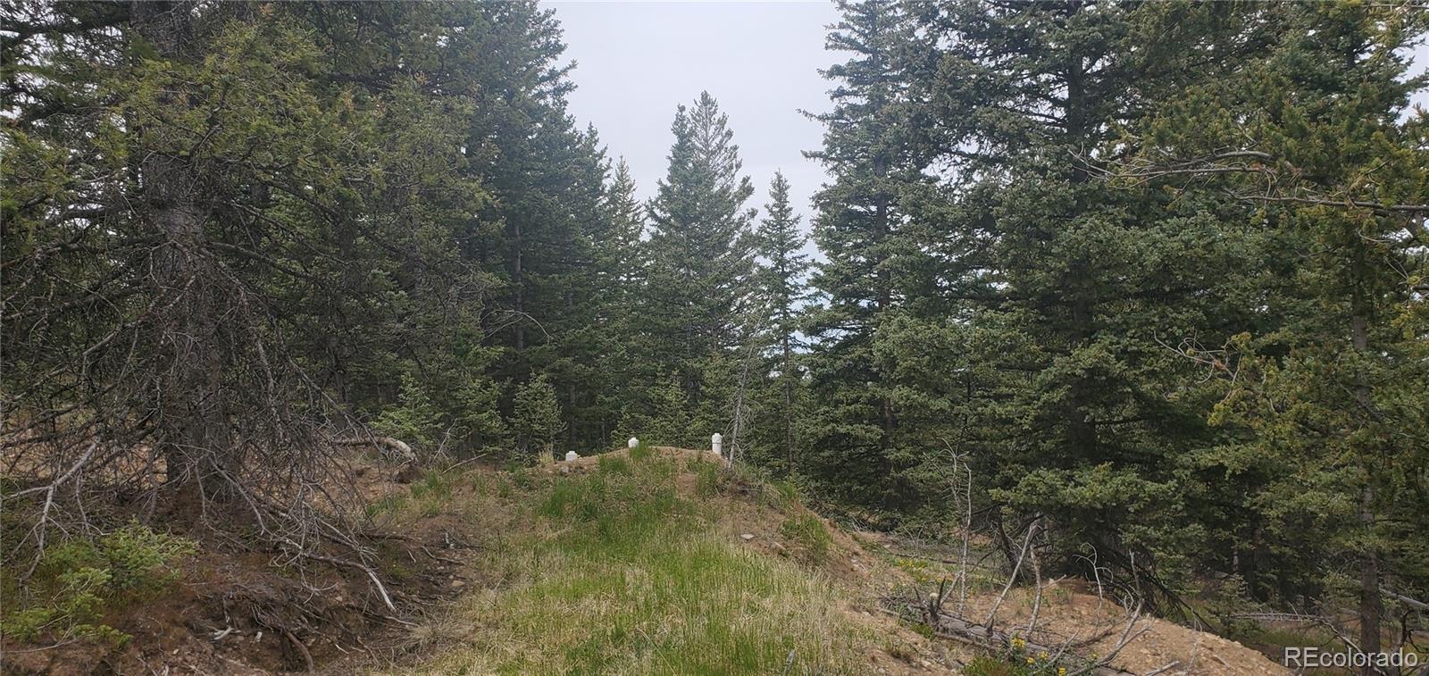 MLS Image #18 for 6601  heckman road,san luis, Colorado