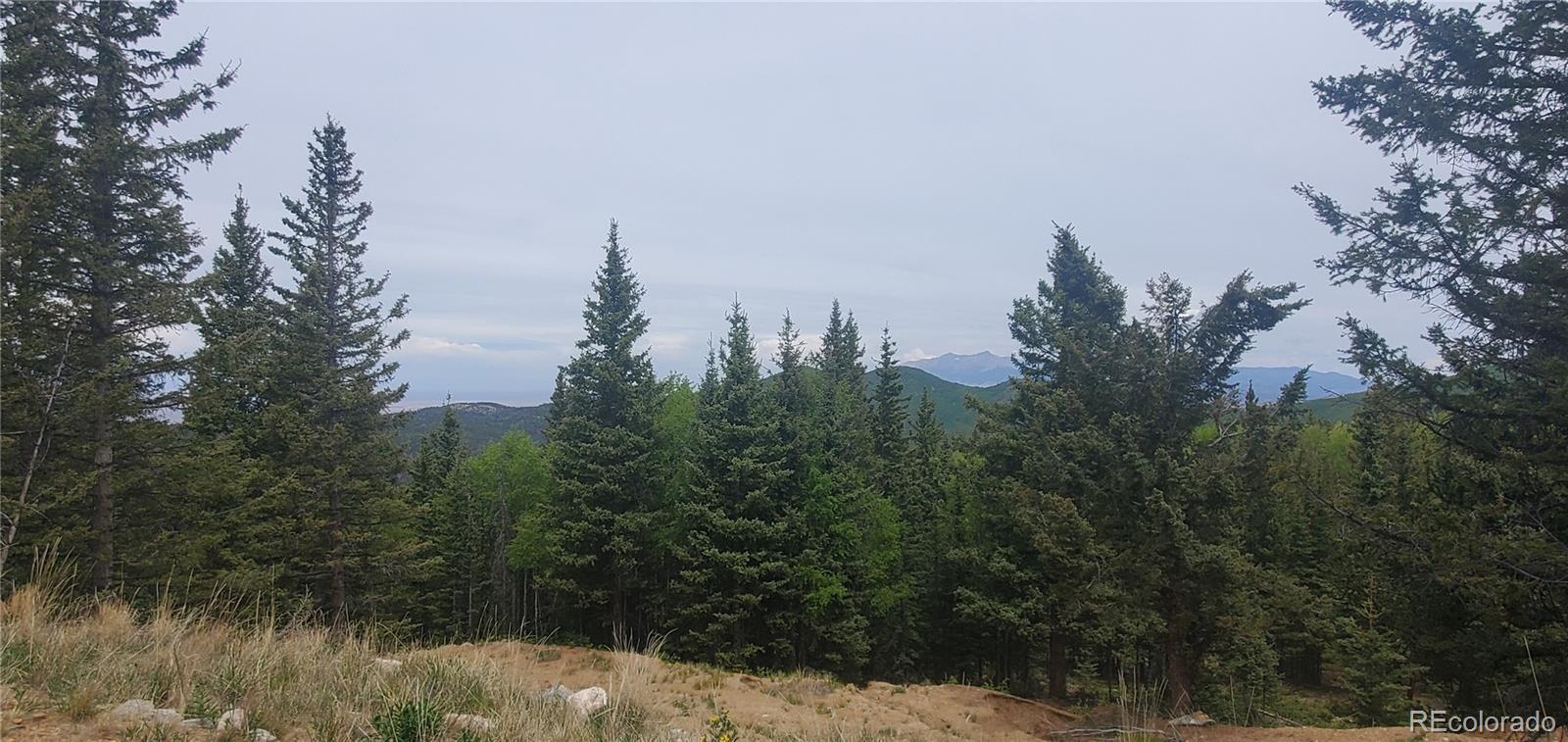 MLS Image #5 for 6601  heckman road,san luis, Colorado